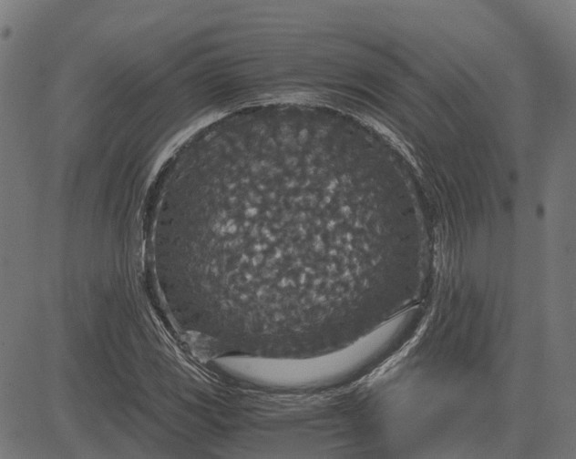 X0000084571117200703091804