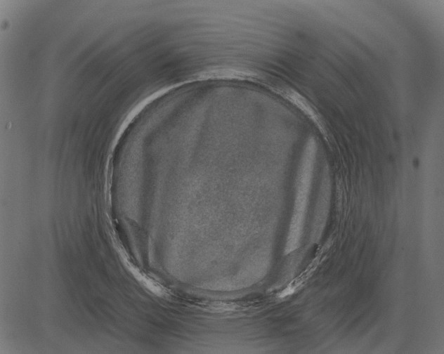X0000084571124200703091804
