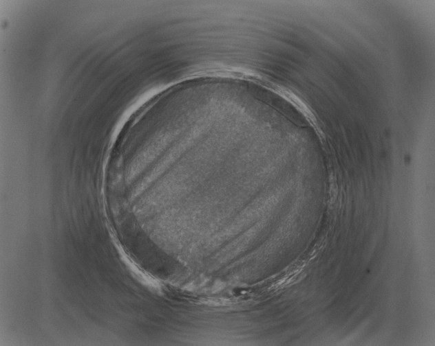 X0000084571128200703091804