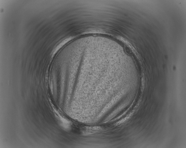 X0000084571129200703091804