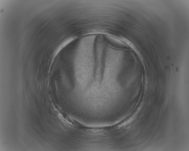 X0000084571145200703091804