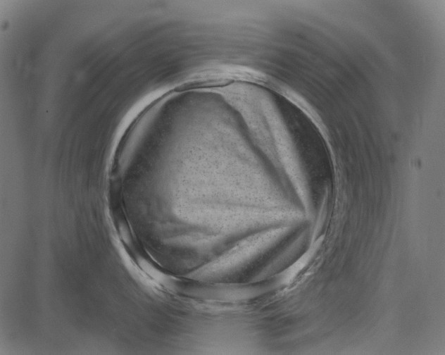 X0000084571152200703091804