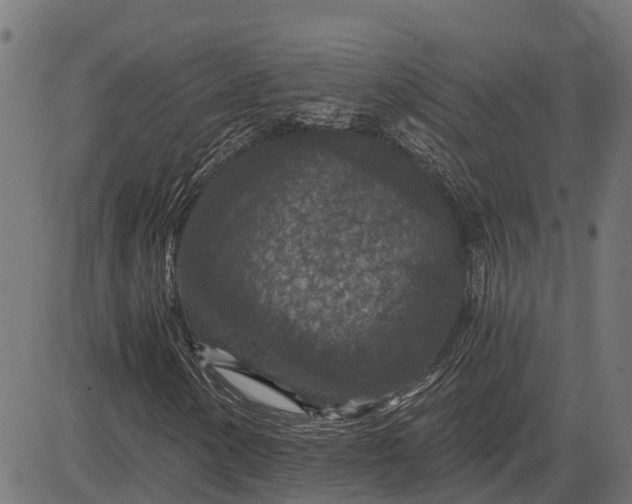 X0000084571154200703091804