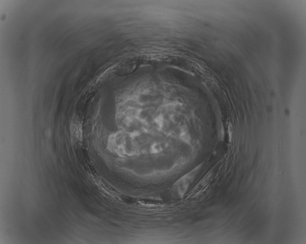 X0000084571155200703091804