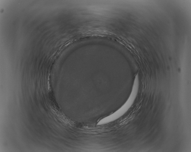 X0000084571156200703091804