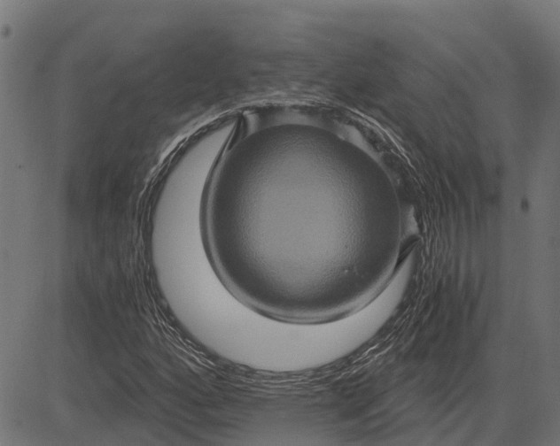 X0000084571160200703091803