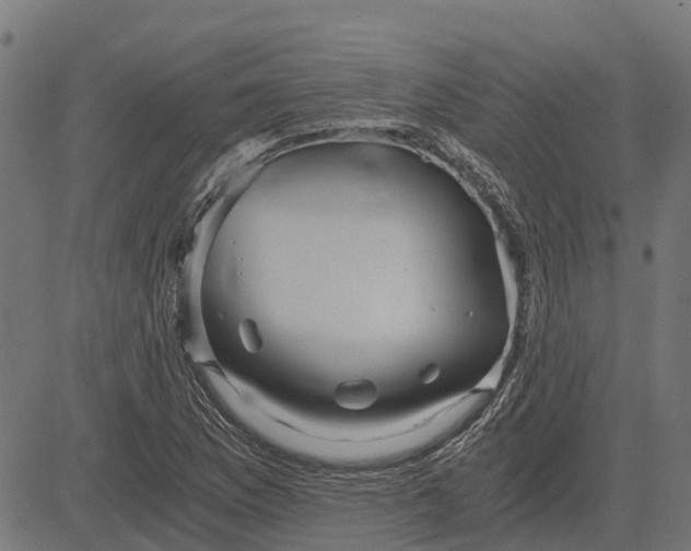 X0000084571169200703091803