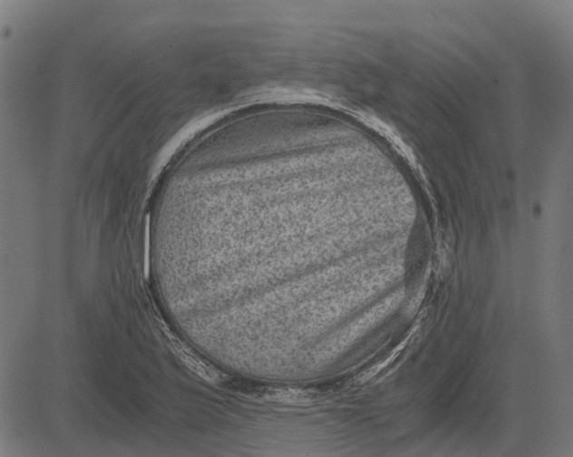 X0000084571175200703091803