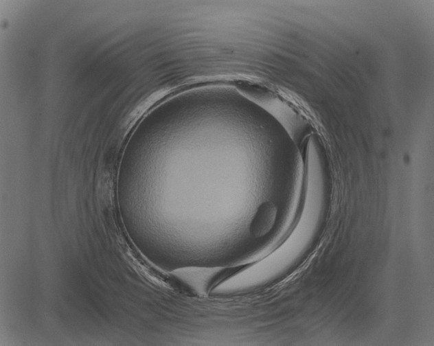 X0000084571177200703091803