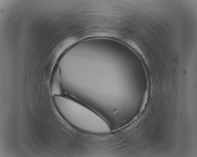 X0000084571181200703091803