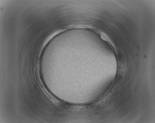 X0000084571187200703091803