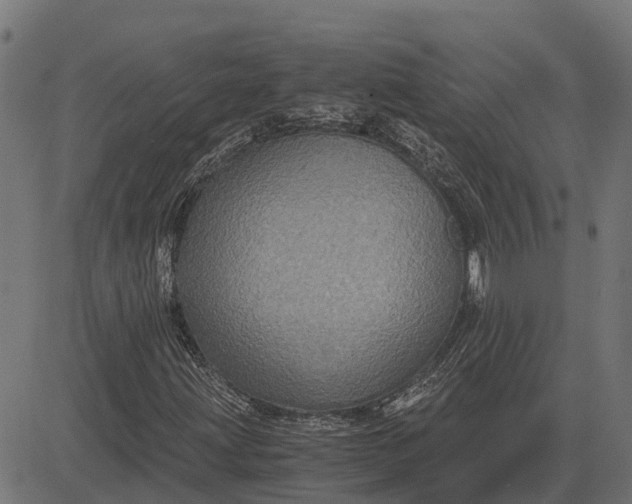 X0000084571203200703091802