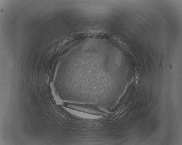 X0000084571204200703091802