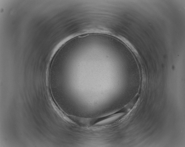 X0000084571246200703091803