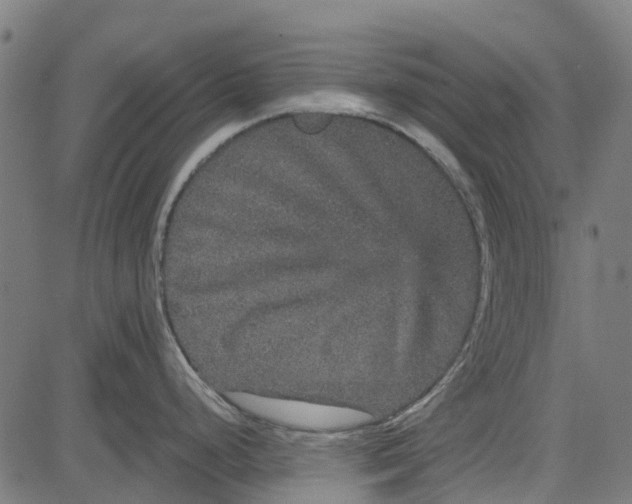 X0000084571248200703091803