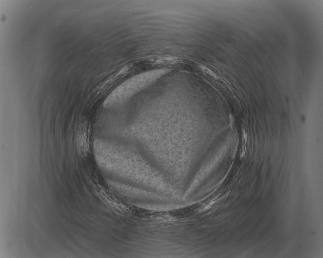 X0000084571250200703091802