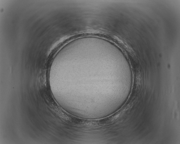 X0000084571262200703091802