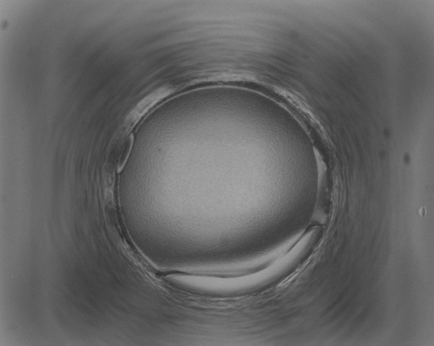 X0000084571273200703091802