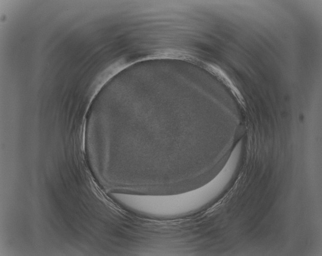 X0000084571276200703091801