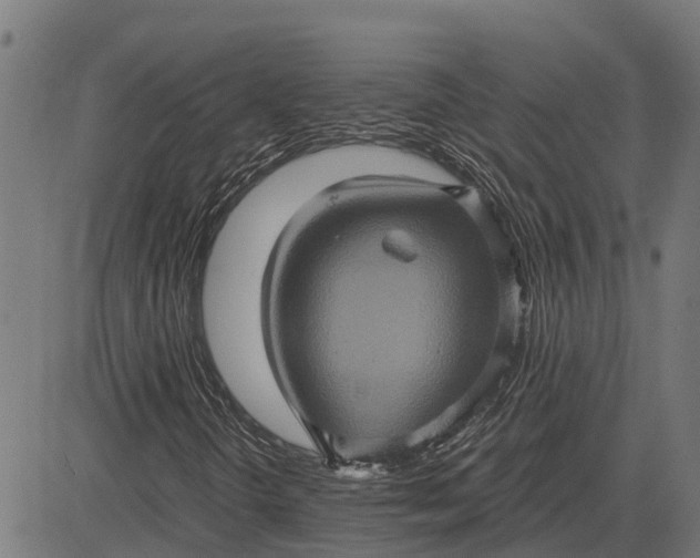 X0000084571298200703091800