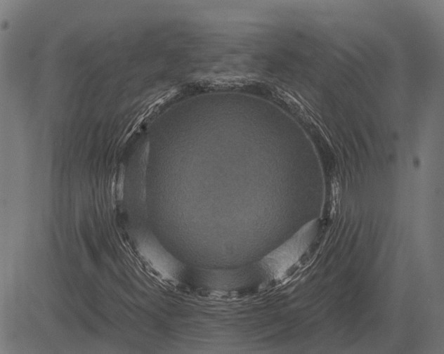 X0000084571300200703091800