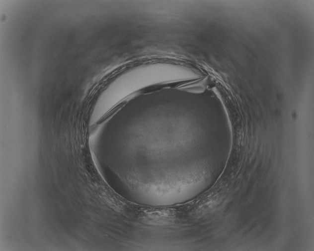 X0000084571303200703091800
