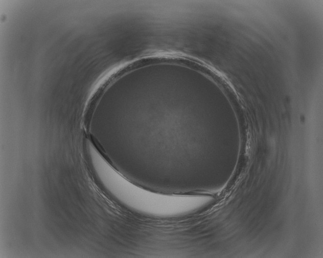 X0000084571319200703091801