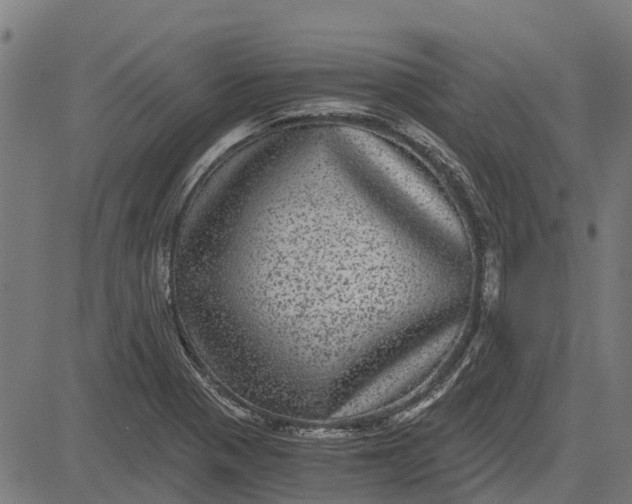 X0000084571321200703091801
