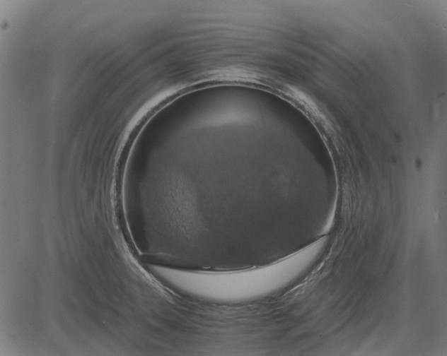 X0000084571331200703091801