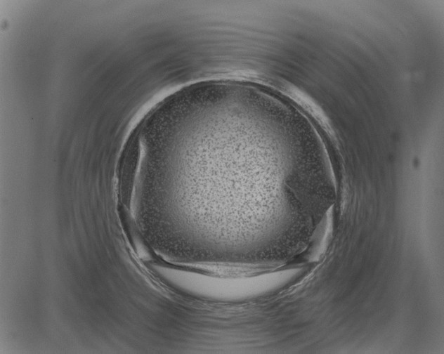 X0000084571332200703091801