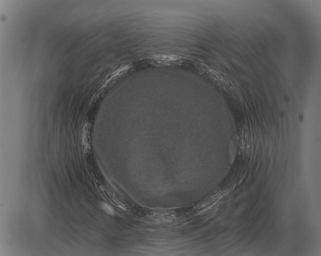 X0000084571346200703091800