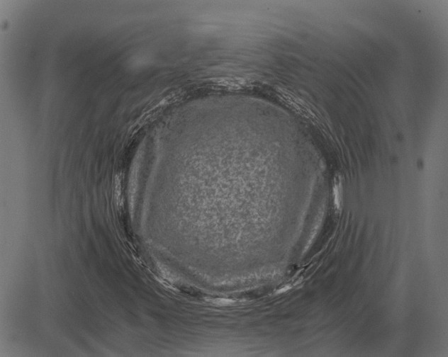 X0000084571347200703091800