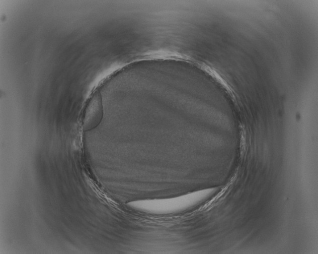 X0000084571358200703091800