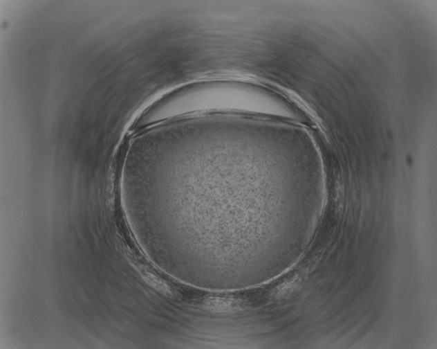 X0000084571364200703091800