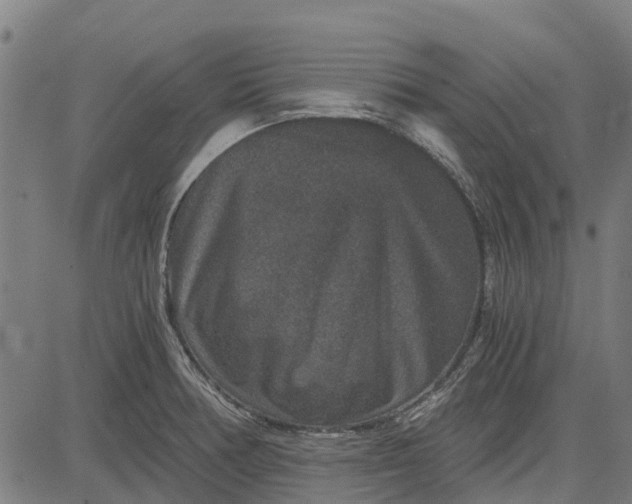 X0000084571378200703091800