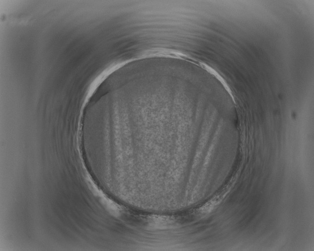 X0000084571379200703091800