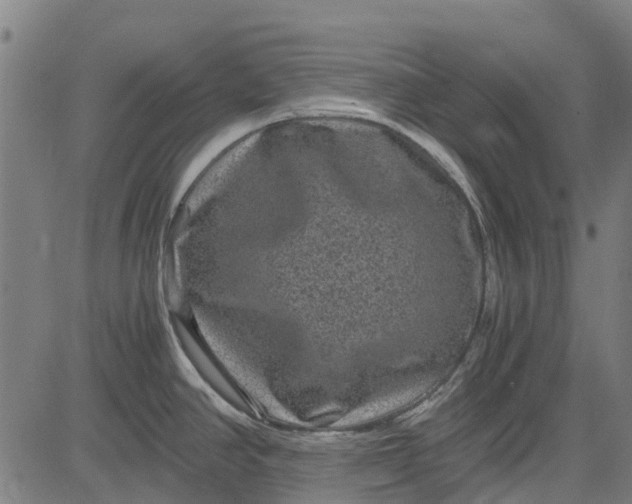 X0000084571390200703091759