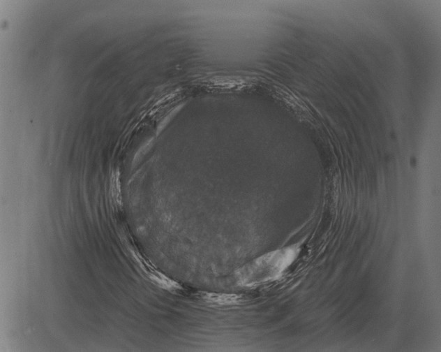 X0000084571394200703091759