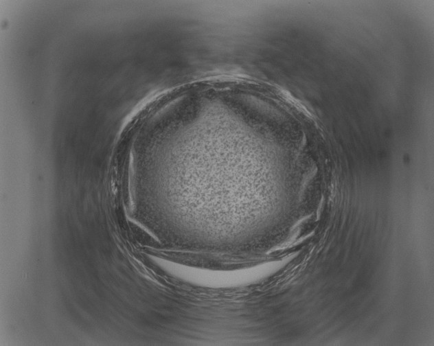 X0000084571400200703091759