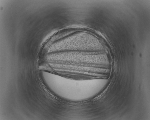 X0000084571406200703091759