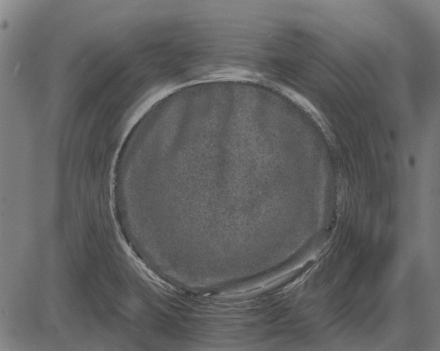 X0000084571423200703091759