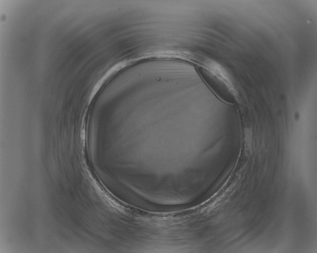 X0000084571428200703091759