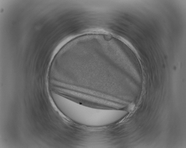 X0000084571440200703091759