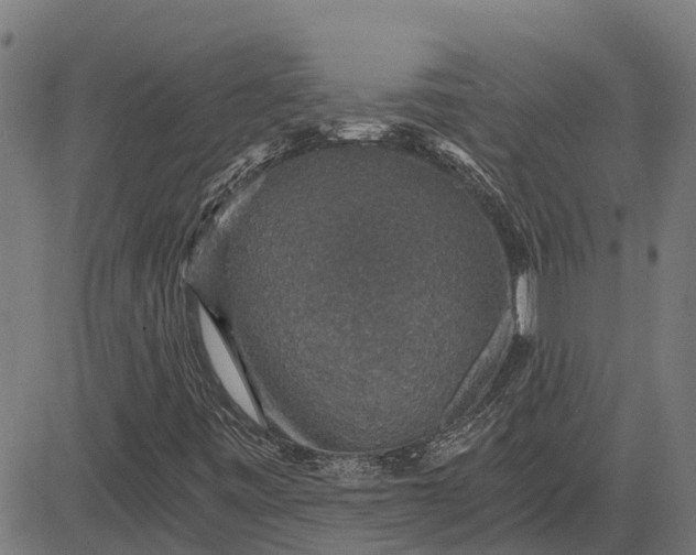 X0000084571443200703091758