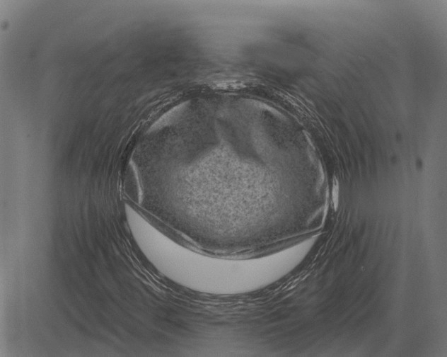 X0000084571444200703091758