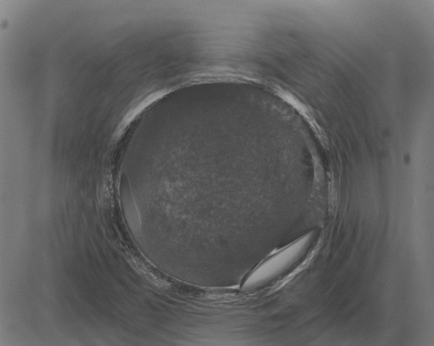 X0000084571453200703091758