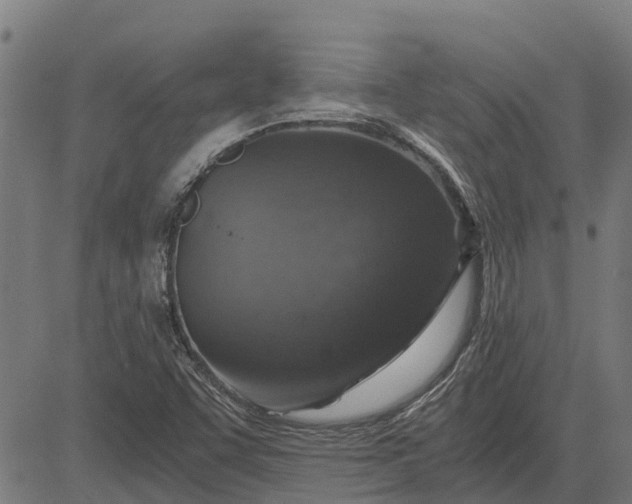 X0000084571455200703091758