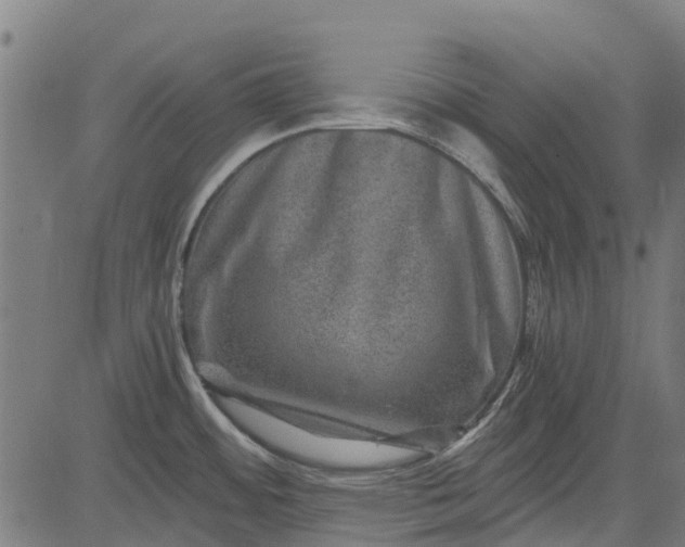 X0000084571484200703091758