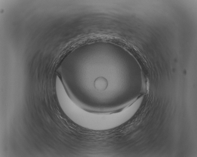 X0000084571492200703091757