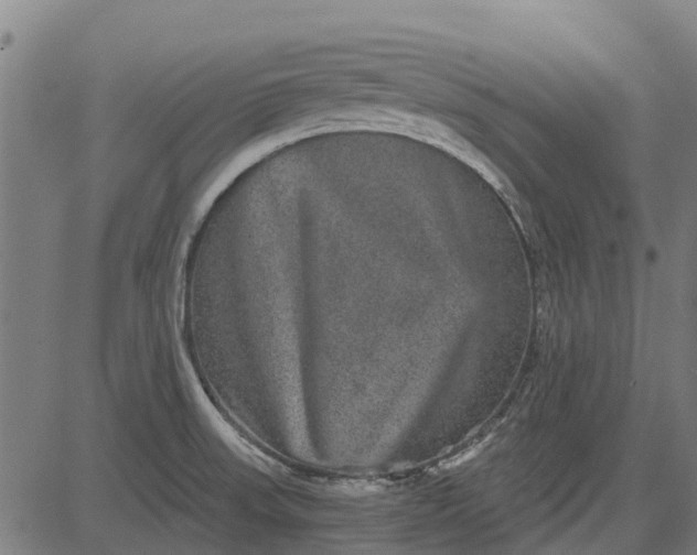 X0000084571523200703091758